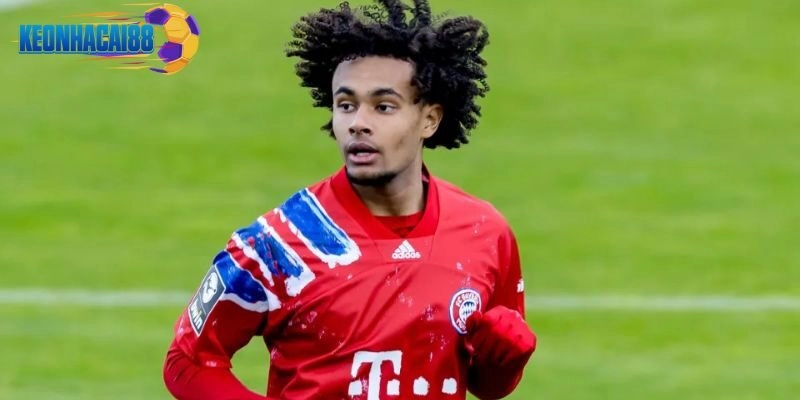 Joshua Zirkzee Từ Một Thiếu Niên Trẻ Đến Một Ngôi Sao Bóng Đá