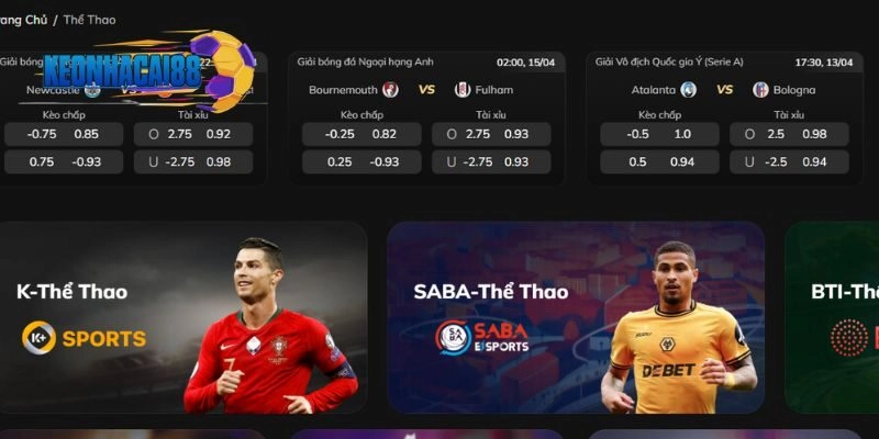 Thể thao là chuyên mục giải trí được yêu thích bậc nhất sân chơi