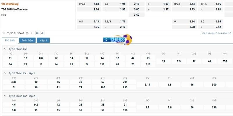 Tỉ lệ kèo trận Wolfsburg vs Hoffenheim